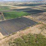 Venta de 223 Hectareas Industriales y Agricolas - 223 Hectares of Industrial & Agricultural Land