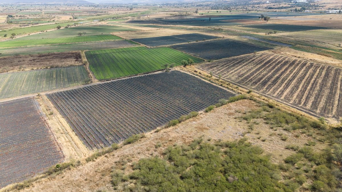 Venta de 223 Hectáreas Industriales y Agrícolas – Ubicación Estratégica y Alta Rentabilidad 2 Venta de 223 Hectareas Industriales y Agricolas - 223 Hectares of Industrial & Agricultural Land