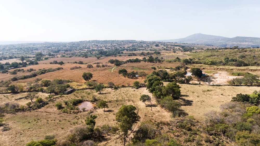 52 Hectáreas en Venta en Matatlán | Gran Potencial para Inversión Agrícola y Ganader 6 52 hectareas en venta en Matatlàn