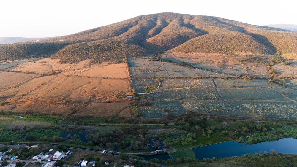 Terrenos en Venta por Hectáreas en Jalisco: Encuentra el Ideal para Ti 1 Terrenos en Venta por Hectáreas High-Value Investment Properties