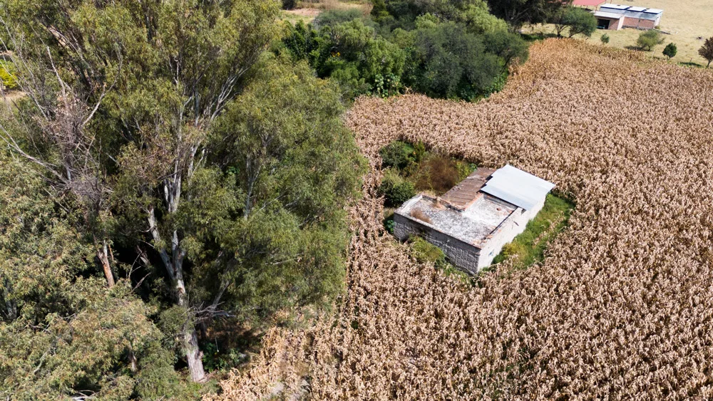 Terrenos en Venta por Hectáreas en Jalisco: Encuentra el Ideal para Ti 13 7 Hectáreas en Venta en Matatlán