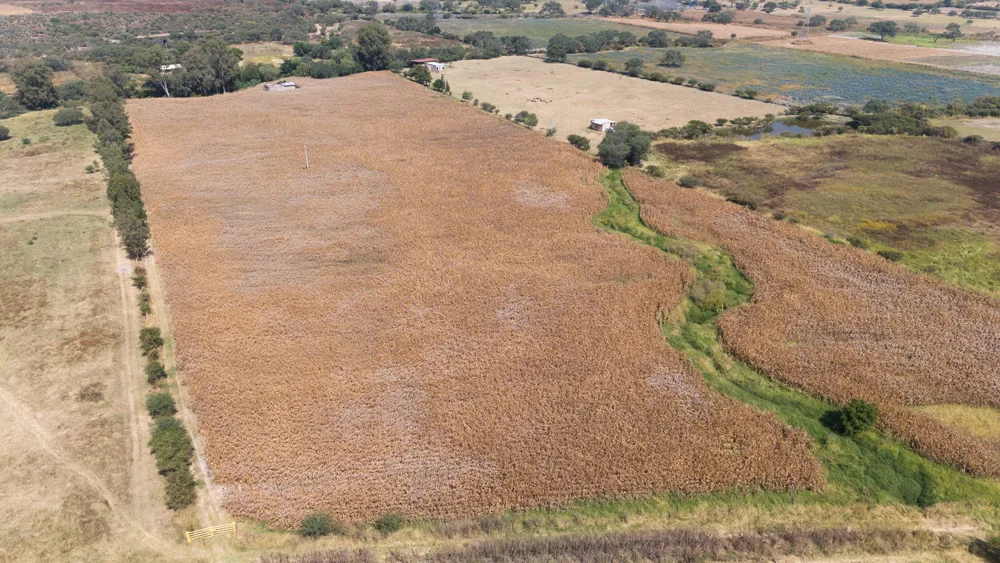 Terrenos en Venta por Hectáreas en Jalisco: Encuentra el Ideal para Ti 20 7 Hectáreas en Venta en Matatlán