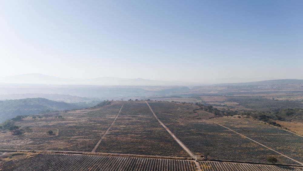 79 hectáreas en venta en Zapotlanejo, Jalisco