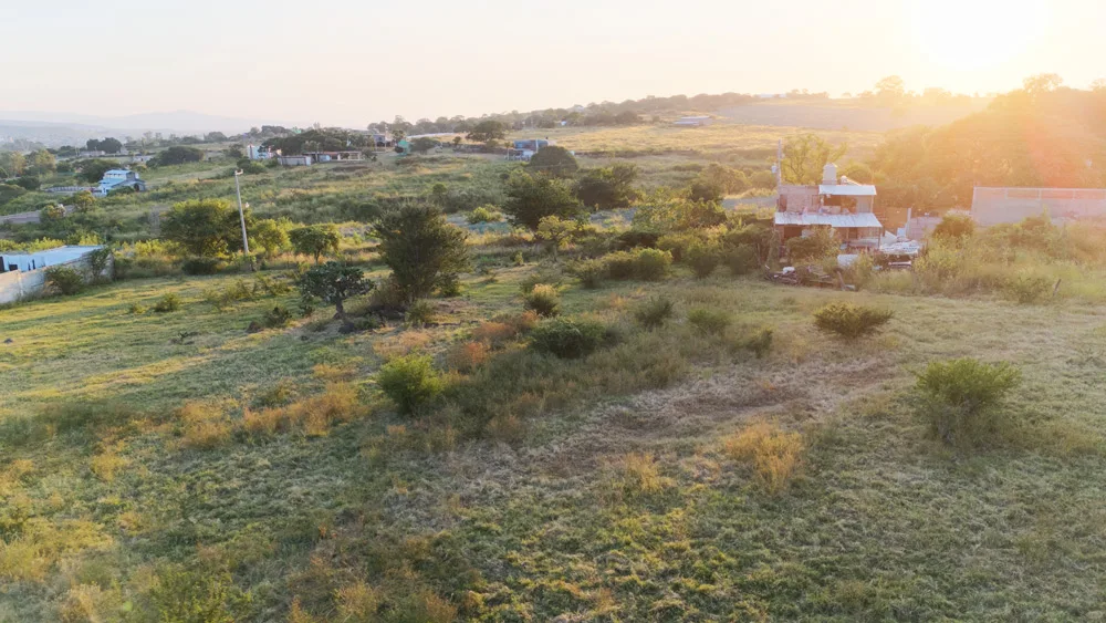 Terrenos en Venta por Hectáreas en Jalisco: Encuentra el Ideal para Ti 21 Venta de Fracciones en el Bajío