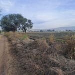 Hectareas en Venta en La Morita - Hectares for Sale in La Morita