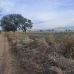 Hectareas en Venta en La Morita - Hectares for Sale in La Morita