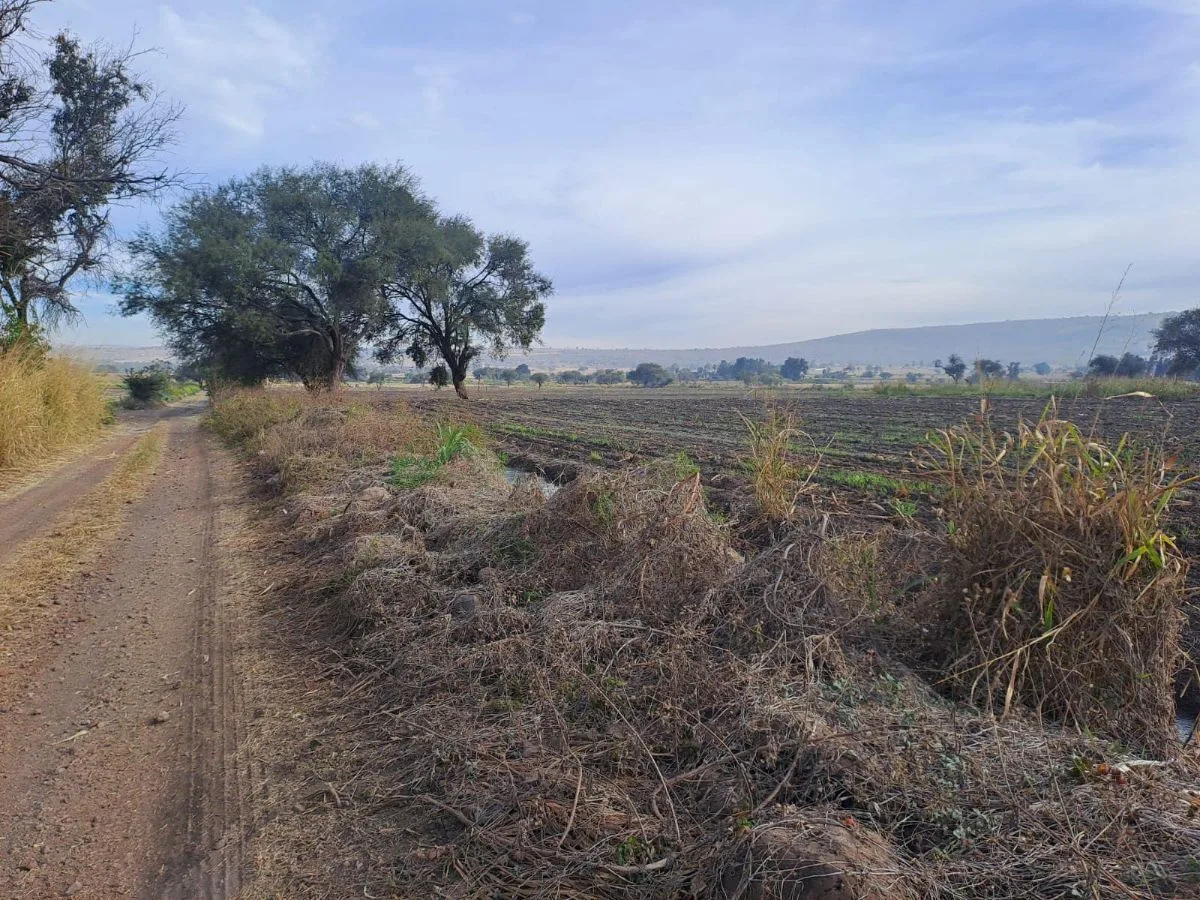 Hectareas en Venta en La Morita - Hectares for Sale in La Morita