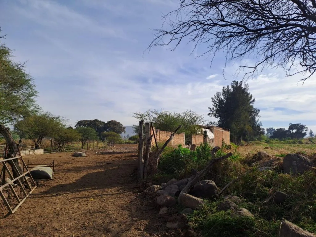 Terrenos en Venta por Hectáreas en Jalisco: Encuentra el Ideal para Ti 28 Hectareas en Venta en La Morita