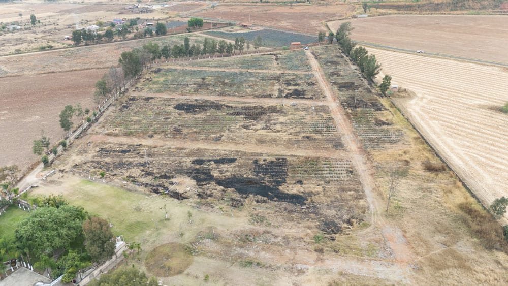 terrenos en Tecomatlán