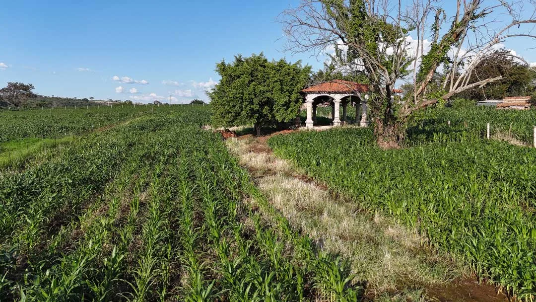 Terreno en Bajio con Terraza Spacious Land for Sale in El Bajío with Terrace