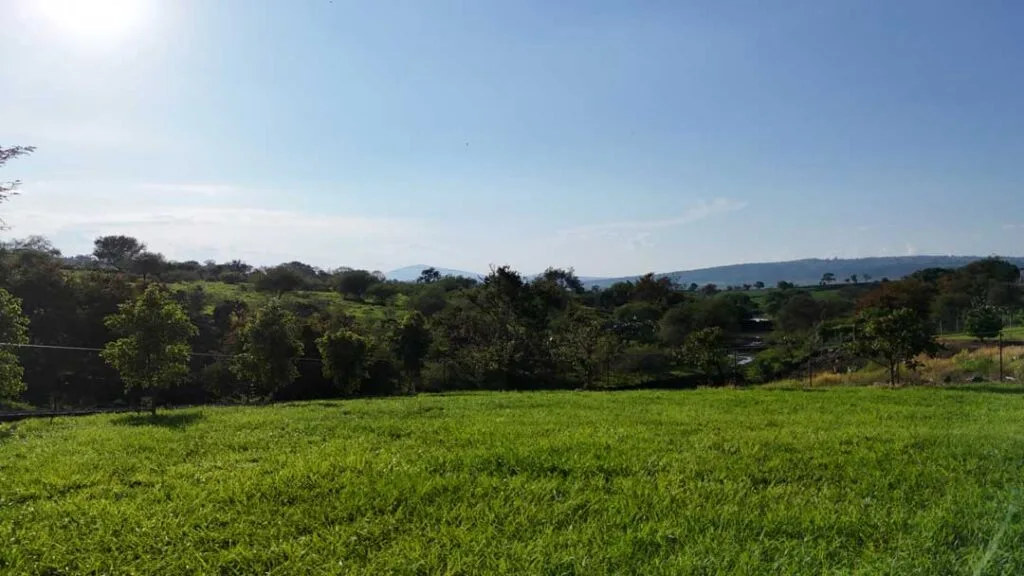 Terrenos en Venta por Hectáreas en Jalisco: Encuentra el Ideal para Ti 16 Terreno en Venta en el Bajio