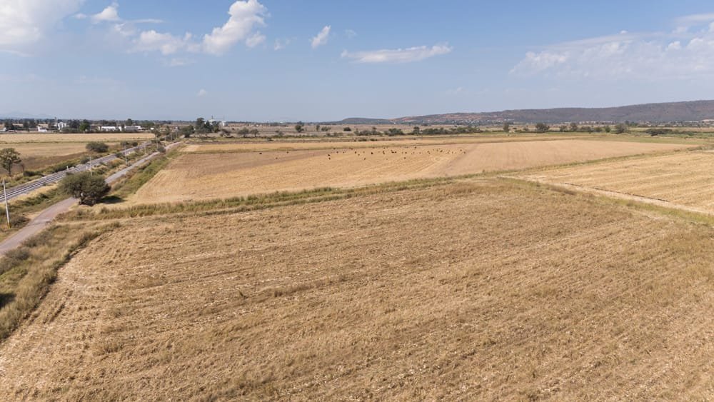 Venta de Hectáreas para Siembra en Jalisco – Terreno Ejidal Plano con Ubicación Estratégica